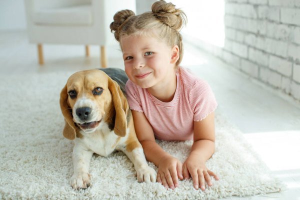 Çocuklar İle İyi Anlaşan 5 Köpek Cinsi!