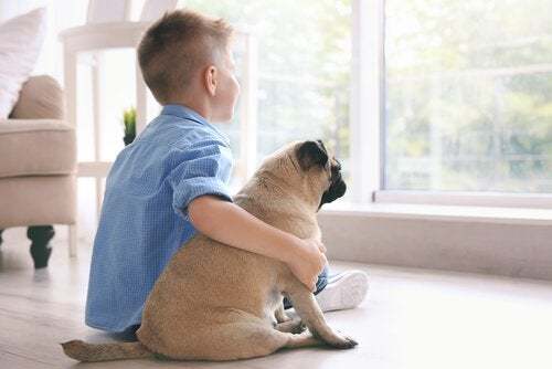 Çocuklar İle İyi Anlaşan 5 Köpek Cinsi!