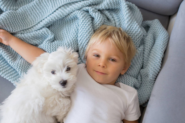 Çocuklar İle İyi Anlaşan 5 Köpek Cinsi!