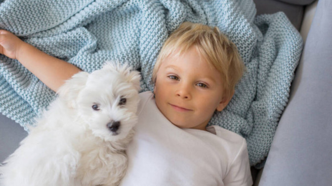 Çocuklar İle İyi Anlaşan 5 Köpek Cinsi!