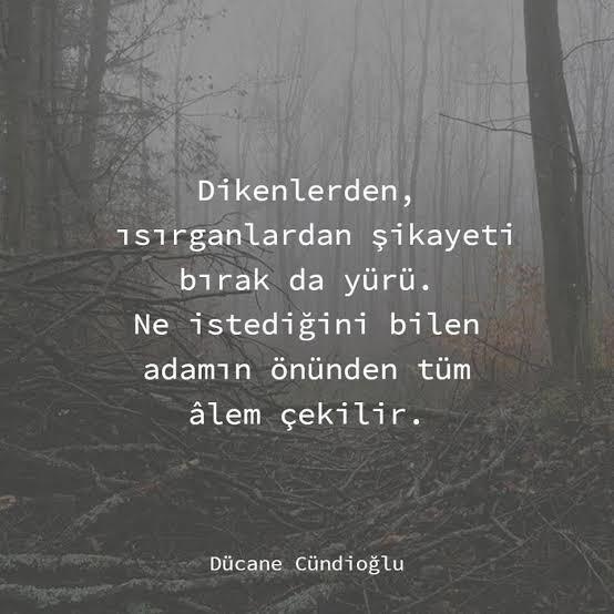 Evlenilesi Tip; Olgun Erkeklerin Özellikleri!