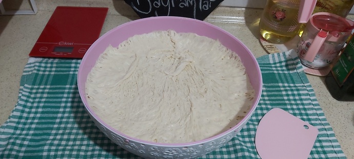 Mayalanma sonrası 2 katına çıktı 🌸