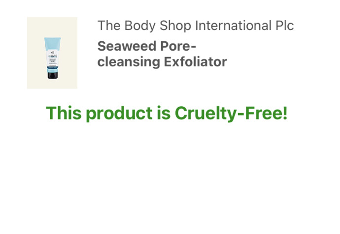 Yumuşacık Bir Cilt İçin Seaweed Gözenek Temizleyici Yüz Peelingi İncelemesi