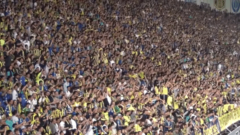 Muhteşem Fenerbahçe taraftarı... 💛💙