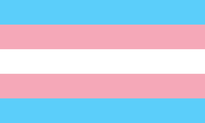 Transgender Pride Bayrağı (maviler erilliği, pembeler dişiliği, beyaz alansa androjenliği cinsiyetsizliği temsil ediyor)