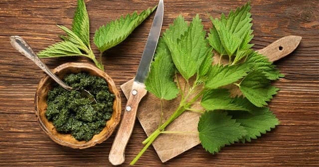 Kuru Saçlara Elveda, Canlı Saçlara Merhaba!