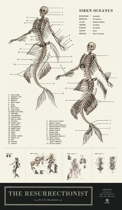Bir Mitolojik Yaratık: Siren