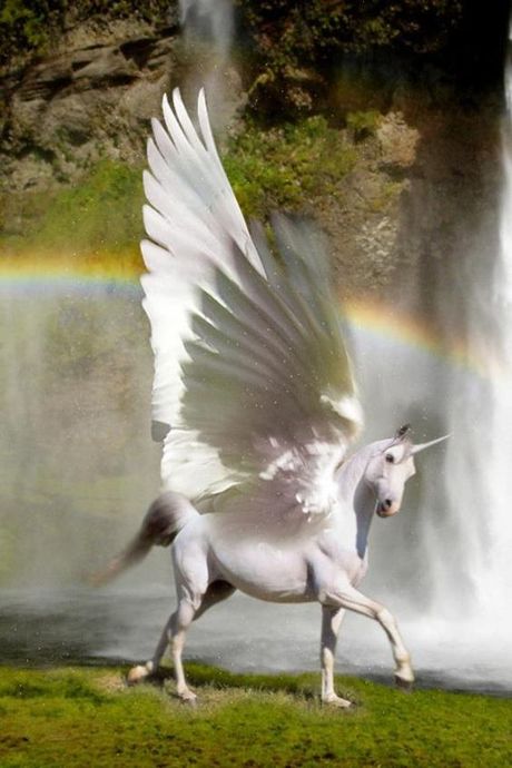 Bir Mitolojik Yaratık: Pegasus