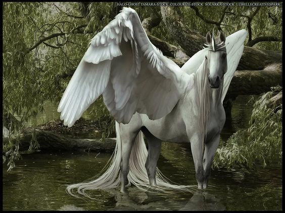 Bir Mitolojik Yaratık: Pegasus