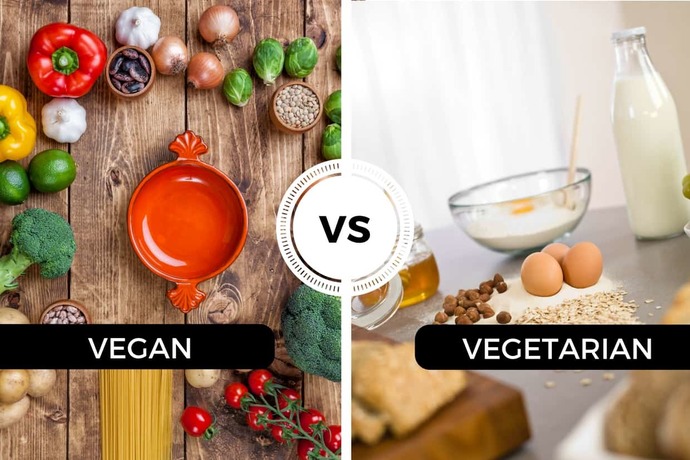 Neden Vegan Oldum, Veganlık Nedir?