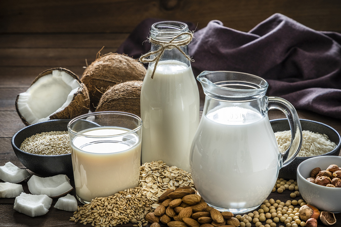 Neden Vegan Oldum, Veganlık Nedir?