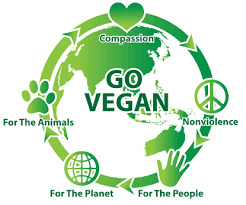 Neden Vegan Oldum, Veganlık Nedir?