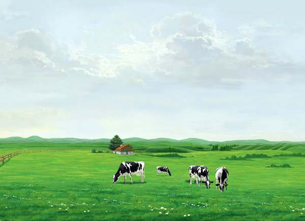 Neden Vegan Oldum, Veganlık Nedir?