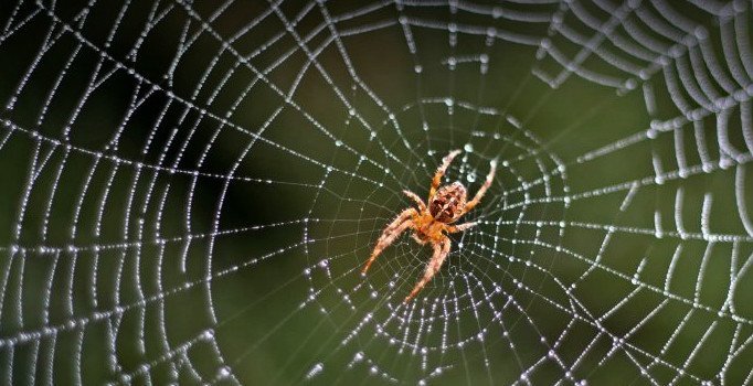 Allah Var mıdır? Onu Nasıl Görebiliriz? İlla Gözümüzle Görmek, Elimizle Hissetmek mi Gerekir?