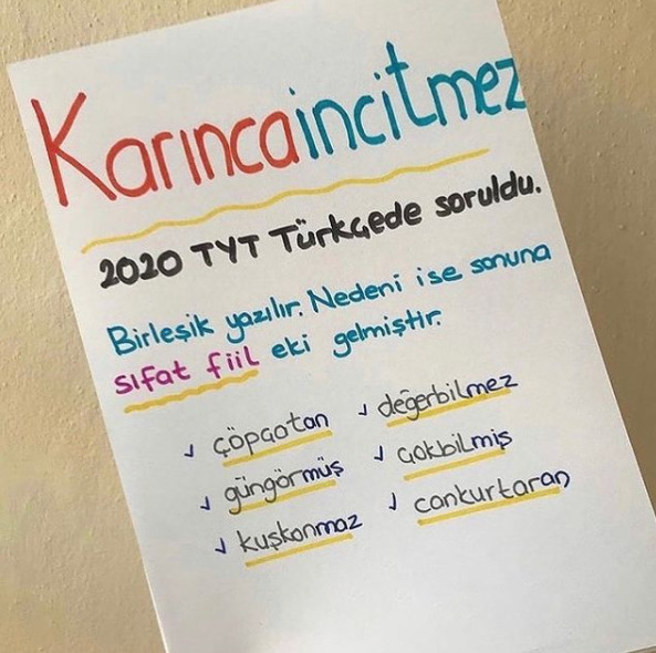 Google Üzerinde En Çok Sorulan 5 Soru ve Cevapları