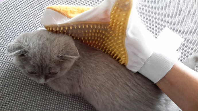 Kedi ve Köpek Sahiplerinin Mutlaka Denemesi Gereken Ürünler!