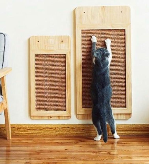 Kedi ve Köpek Sahiplerinin Mutlaka Denemesi Gereken Ürünler!