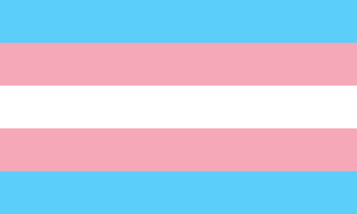 Trans Pride Bayrağı (maviler erilliği, pembeler dişiliği, beyaz bölüm cinsiyetsizliği temsil ediyor)