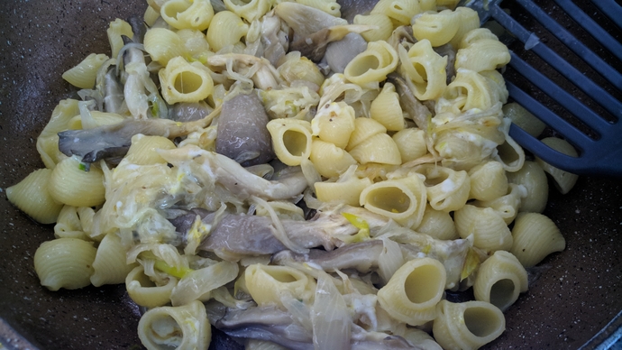 Çok Lezzetli Alternatif Bir Yemek: İstiridye Mantarlı, Limonlu Makarna 🍝