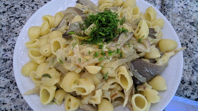 Çok Lezzetli Alternatif Bir Yemek: İstiridye Mantarlı, Limonlu Makarna 🍝