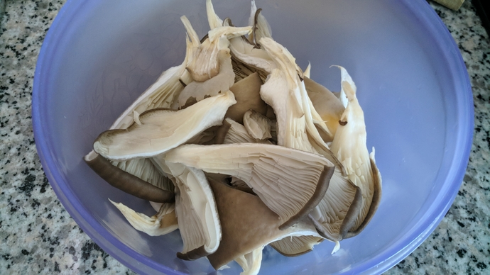 Çok Lezzetli Alternatif Bir Yemek: İstiridye Mantarlı, Limonlu Makarna 🍝
