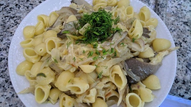 Çok Lezzetli Alternatif Bir Yemek: İstiridye Mantarlı, Limonlu Makarna 🍝