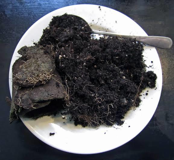 6 Madde de Pika Sendromu: Toprak Yemek!