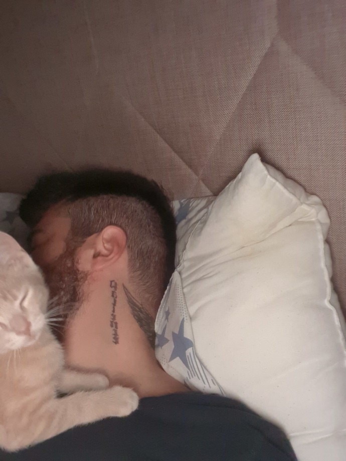 Kedinizin Sizi Sevdiğini Nasıl Anlarsınız? İşte Kedinizin Sizi Sevdiğini Gösteren Davranışlar!