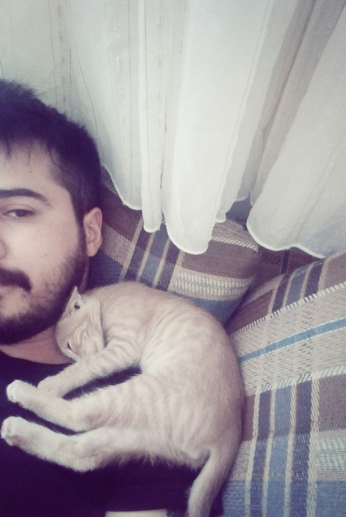 Kedinizin Sizi Sevdiğini Nasıl Anlarsınız? İşte Kedinizin Sizi Sevdiğini Gösteren Davranışlar!