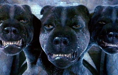 Harry Potterdaki Cerberus