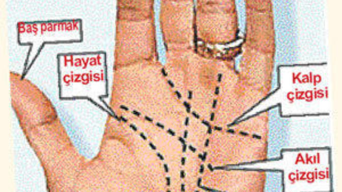 El falı nasıl bakılır? -2