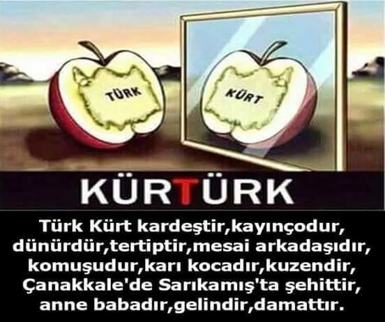 Türk ve Kürtlerin Kökeni ve Geçmişten Bu Yana Koparılması Mümkün Olmayan İlişkileri!