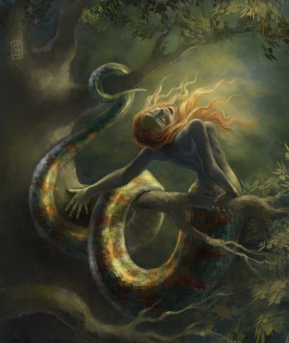 Bir Mitolojik Yaratık: Echidna/Ehidna