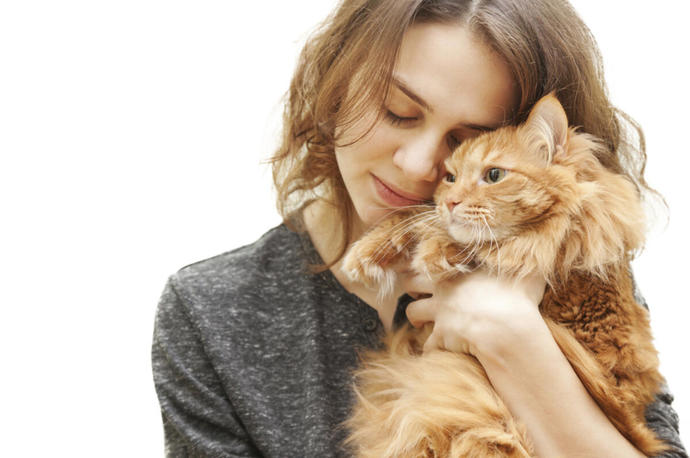 Minnoş Kedilerimizin Bizi Sevdiğini Gösteren En Garip Davranışları! Kedi Severler Buraya! 🐈
