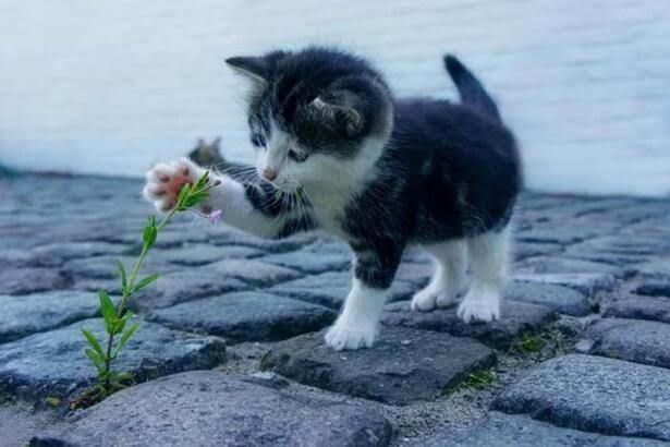 ❤