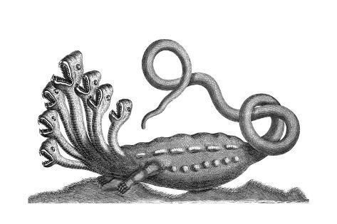 Bir Mitolojik Yaratık: Hydra/Hidra