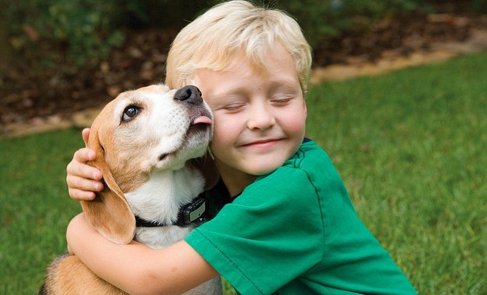 Köpekler Hakkında İlginç Bilgiler!