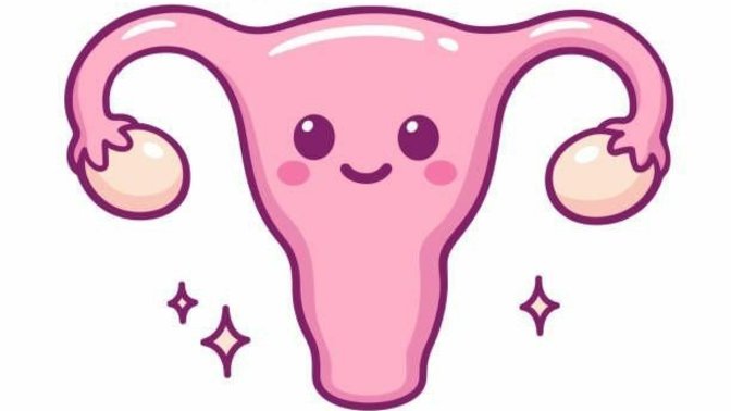 Her Kadın PCOS Adayıdır! Polikistik Over Sendromu Olduğumuzun Belirtileri Nelerdir, Ne Yapılmalı?