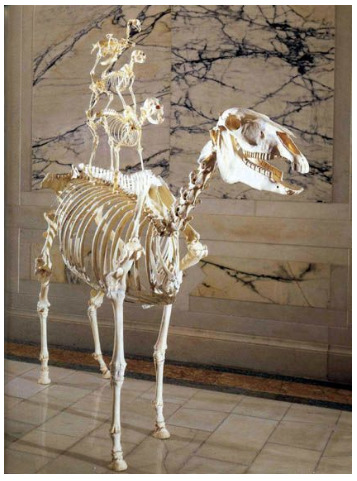 Maurizio Cattelan ile Tanışalım: Komedyen Muz Sanat mı Değil mi?