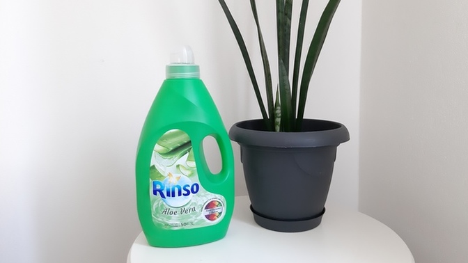 Renkli Kıyafetlerinizin Solmasını Engelleyen Mucizevi Bitki, Aloe Vera..!