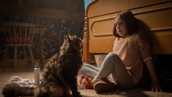 Korku-Gerilim Üstadı Olan Stephen Kingin Kitaplarından Sinemaya Uyarlanan En Sevdiğim 3 Filmi!