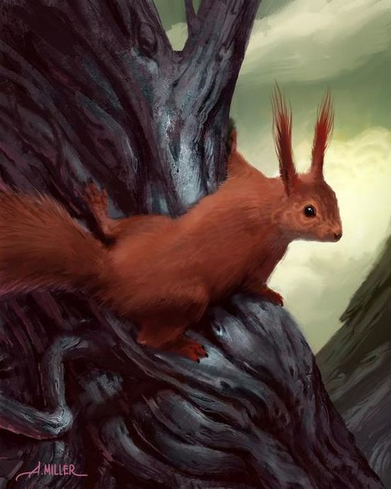 Bir Mitolojik Yaratık: Ratatoskr
