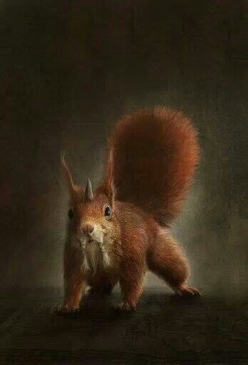 Bir Mitolojik Yaratık: Ratatoskr