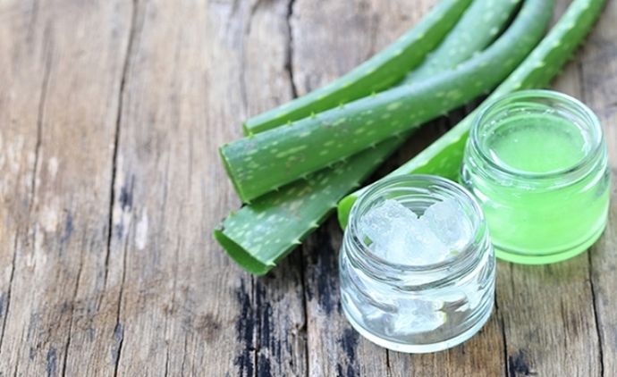 Mucizevi Aloe Vera Bitkisinin Cilde ve Saça Faydaları!