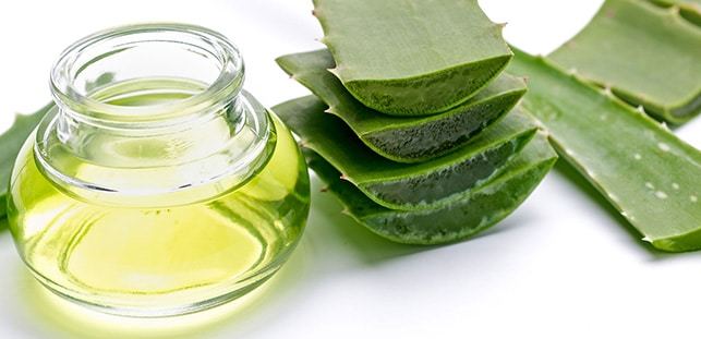 Mucizevi Aloe Vera Bitkisinin Cilde ve Saça Faydaları!