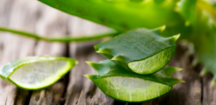Mucizevi Aloe Vera Bitkisinin Cilde ve Saça Faydaları!
