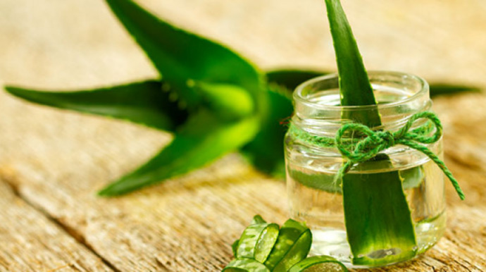 Mucizevi Aloe Vera Bitkisinin Cilde ve Saça Faydaları!