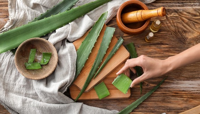 Mucizevi Aloe Vera Bitkisinin Cilde ve Saça Faydaları!