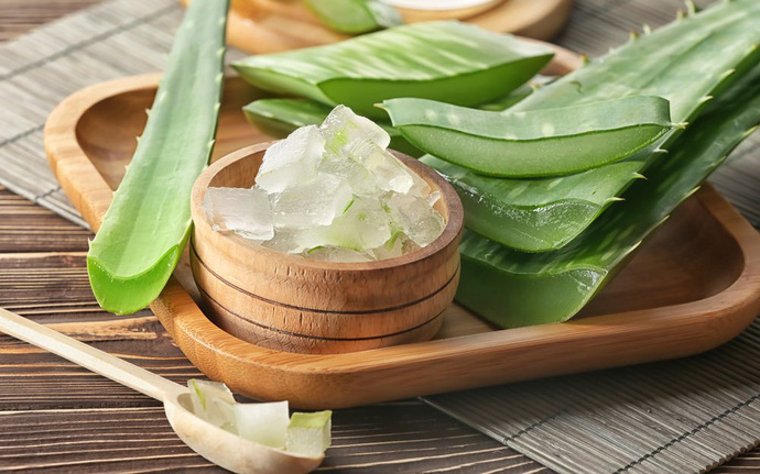 Mucizevi Aloe Vera Bitkisinin Cilde ve Saça Faydaları!