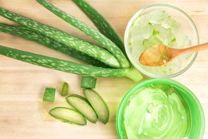 Mucizevi Aloe Vera Bitkisinin Cilde ve Saça Faydaları!